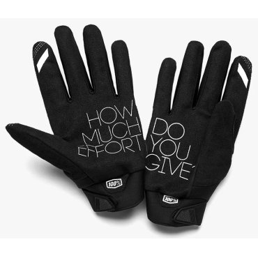 Зимові перчатки 100% BRISKER Glove [Grey]