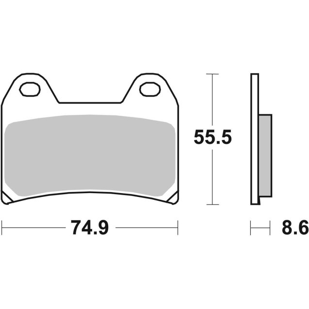 Гальмівні колодки SBS Track Days Front Brake Pads